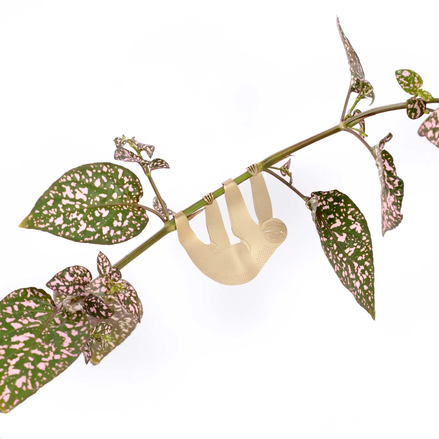 Plant Animal - Sloth, cute houseplant gift
