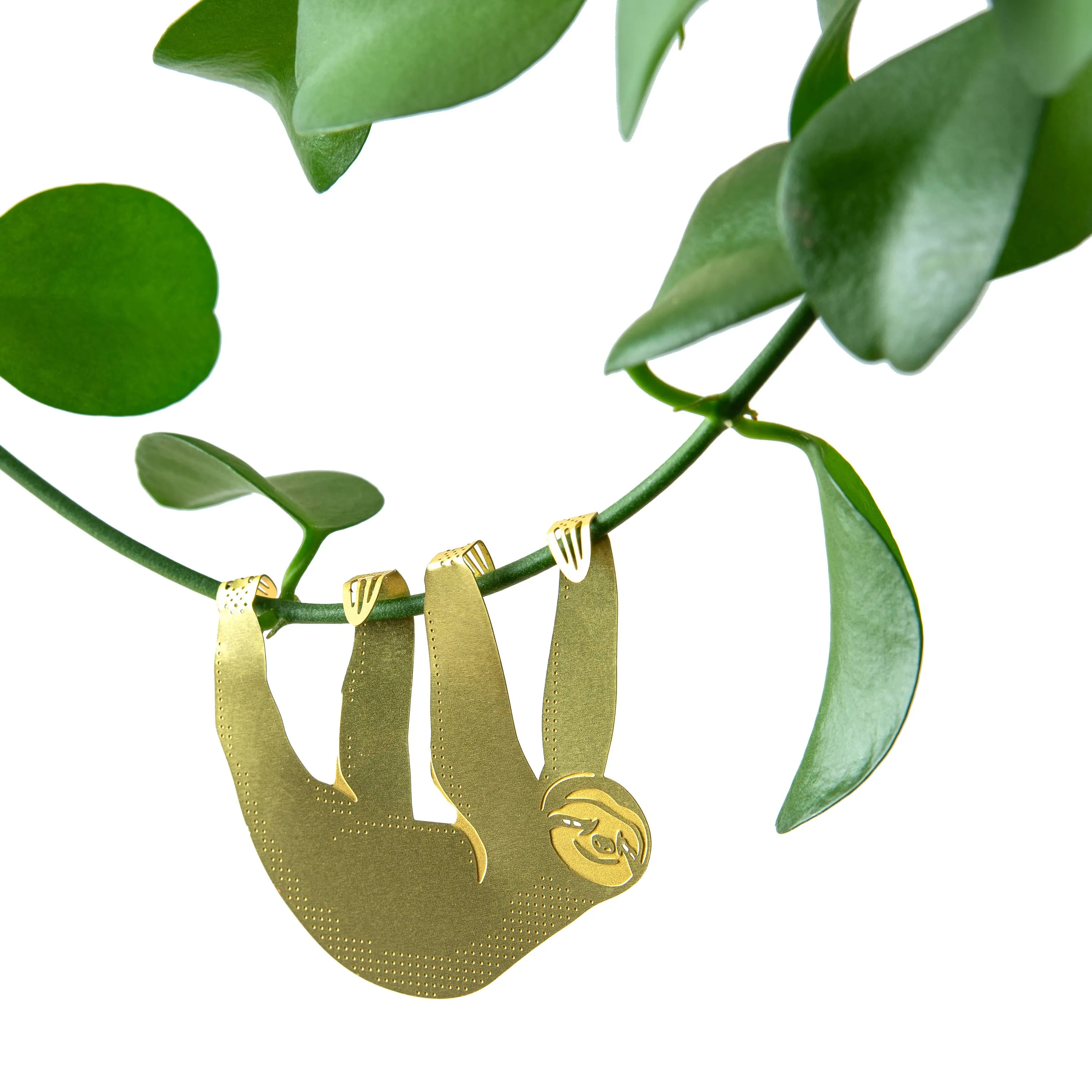 Plant Animal - Sloth, cute houseplant gift