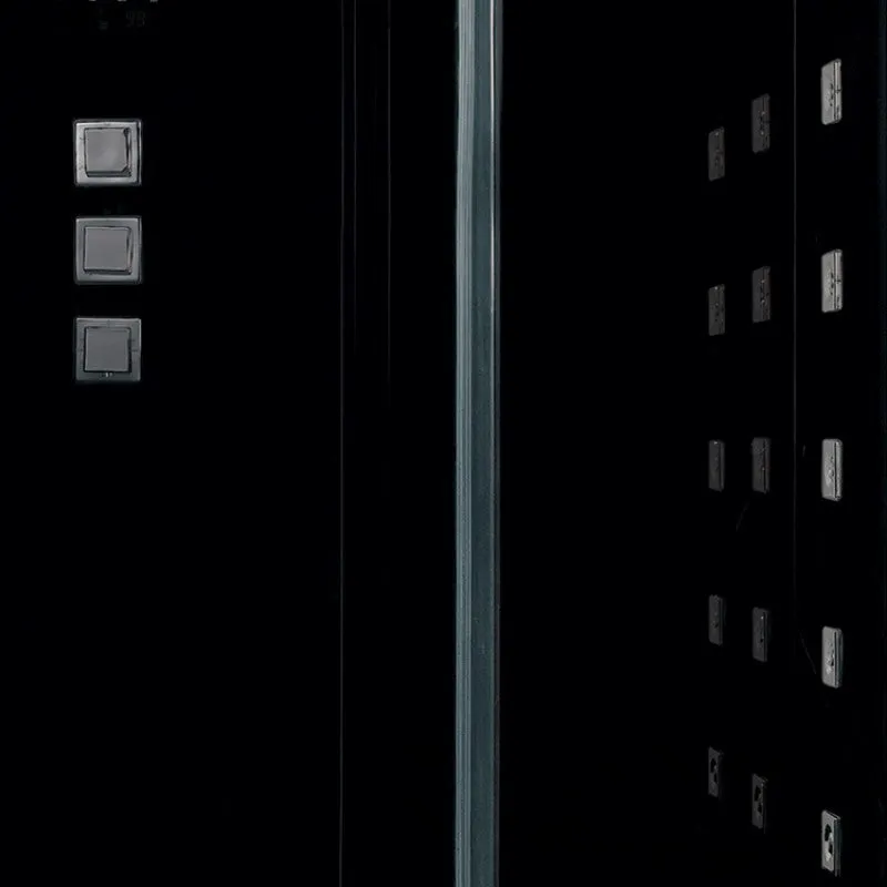 Platinum DZ972F8 Steam Shower