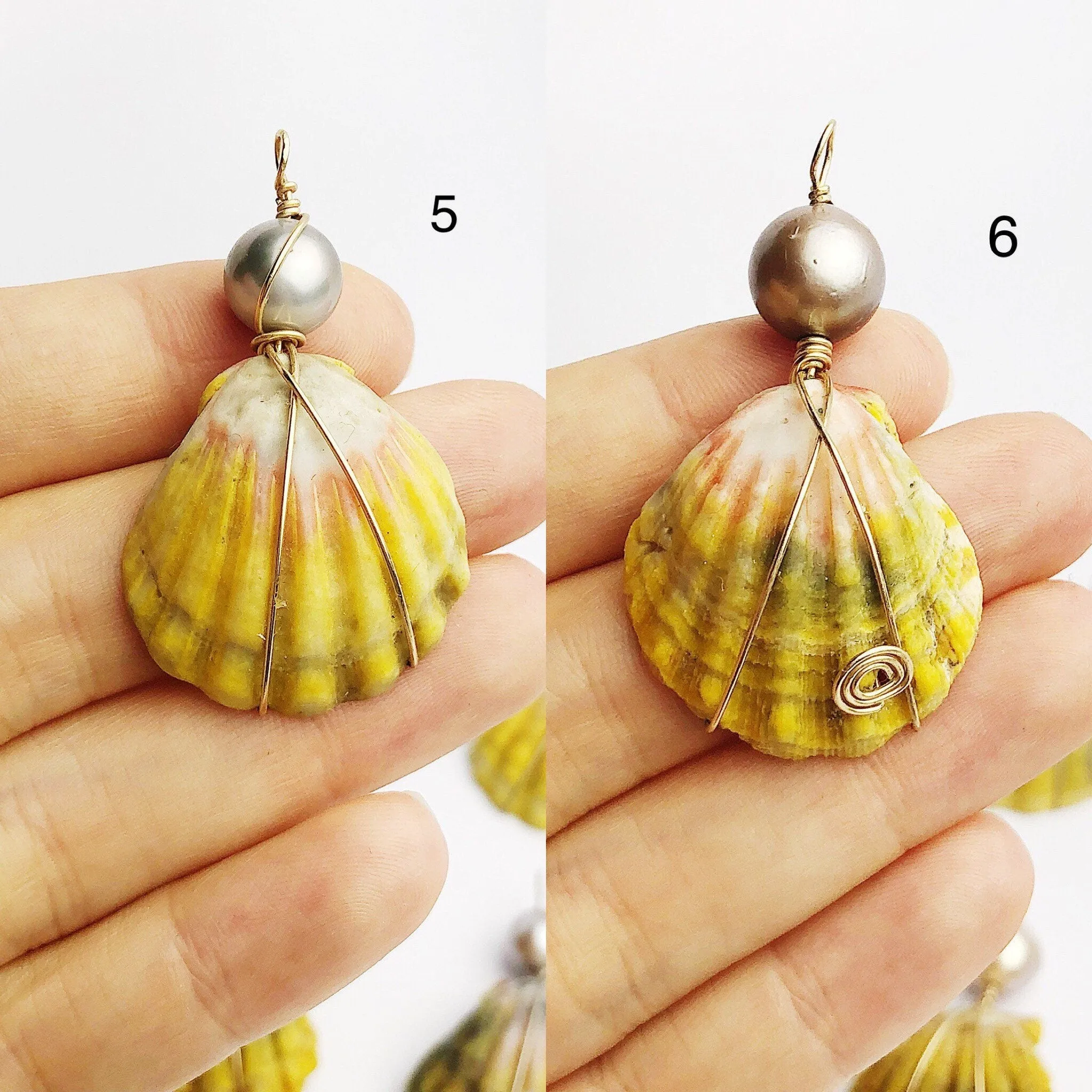 Sunrise Shell Wire and Pearl Pendants from Hawaii - Natural Color - Sunrise Shells - Sunnies (387 No. 1-10)