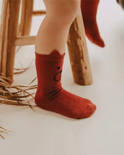 The Hector 3-pack Character Socks - BABY