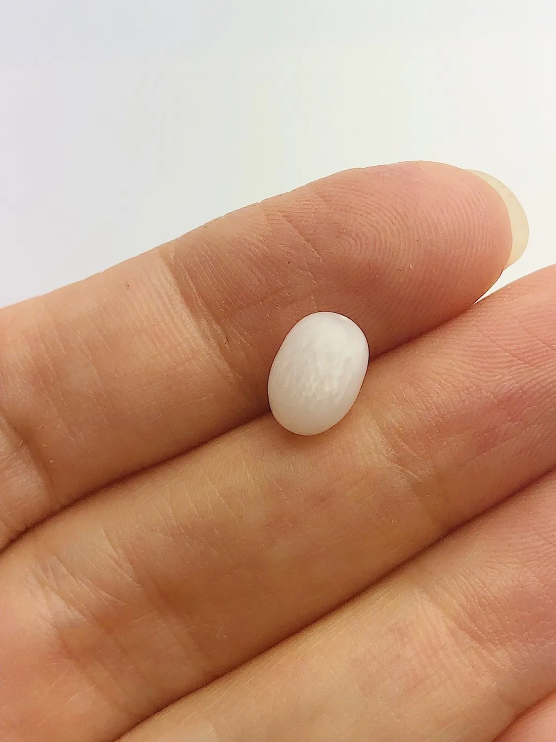 Tridacna White Clam Pearl Loose 9.41mm x 6.61mm No. 33