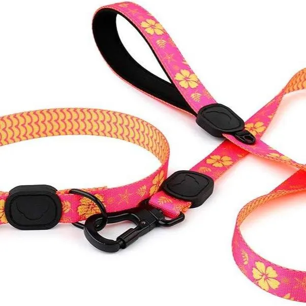 Tropical Party Premium Dog Collar