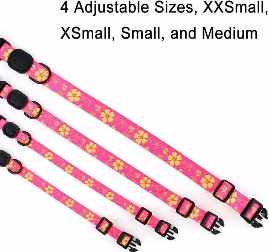 Tropical Party Premium Dog Collar