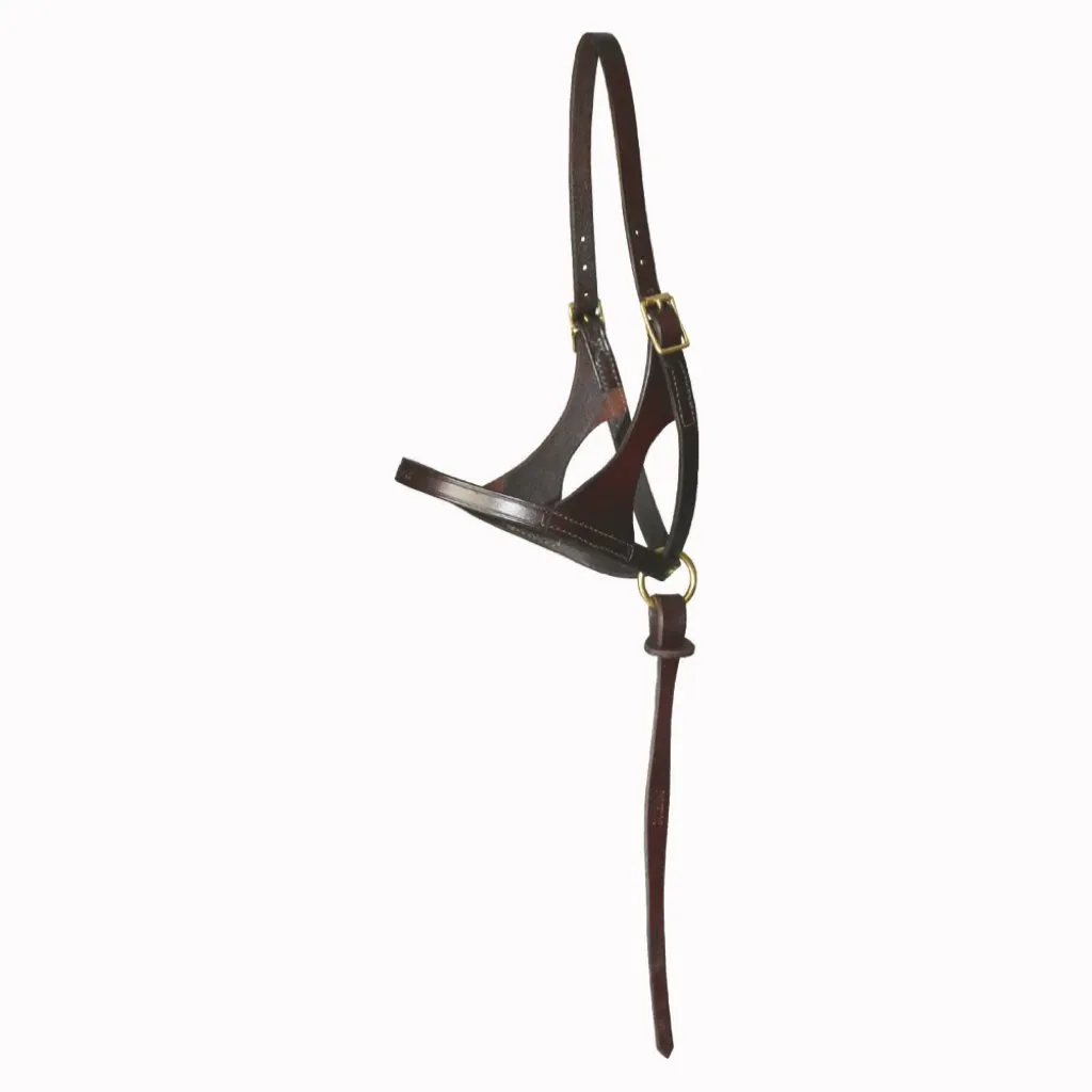 Walsh Adjustable Foal Halter